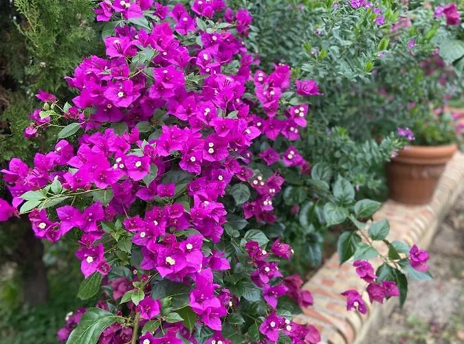 Al Presti, Vacanze In Pieno Relax Cefalù