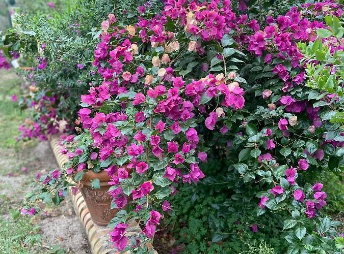 Al Presti, Vacanze In Pieno Relax Villa Cefalù