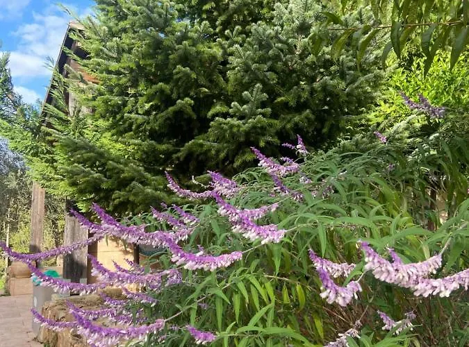 Al Presti, Vacanze In Pieno Relax Villa Cefalù