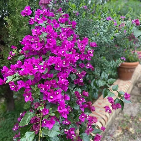 Al Presti, Vacanze In Pieno Relax Cefalù