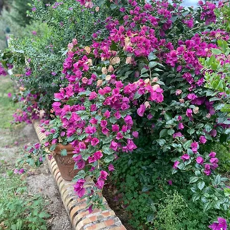 Al Presti, Vacanze In Pieno Relax Villa Cefalù