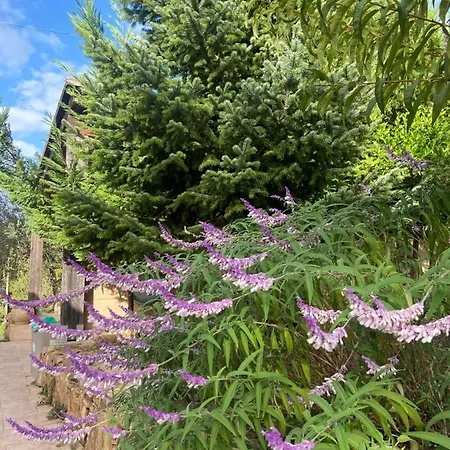 Al Presti, Vacanze In Pieno Relax Βίλα Cefalù