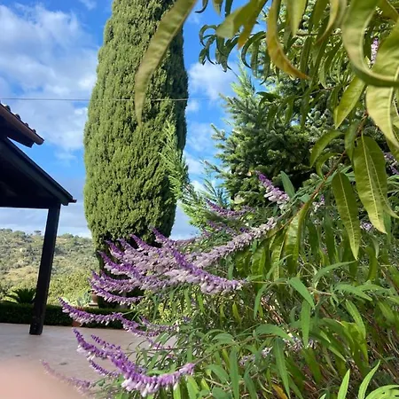 Al Presti, Vacanze In Pieno Relax Villa *