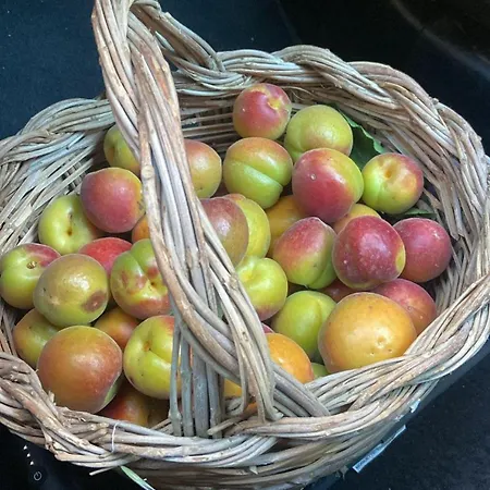 Al Presti, Vacanze In Pieno Relax Cefalù