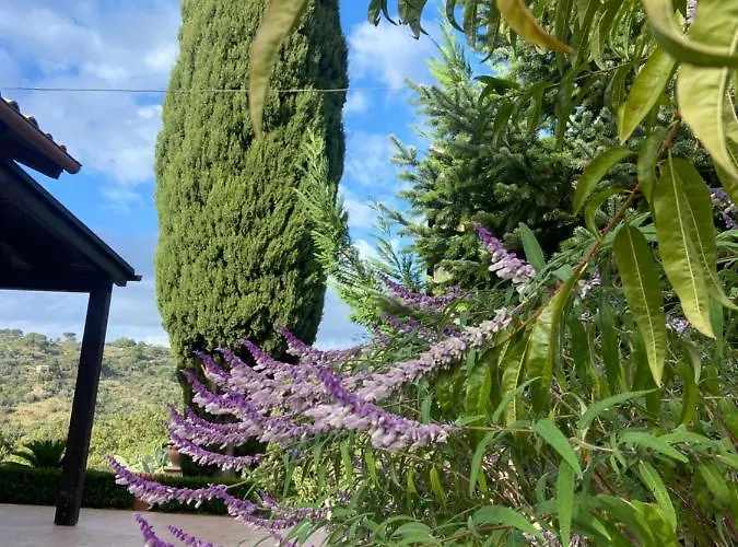 Al Presti, Vacanze In Pieno Relax Villa *