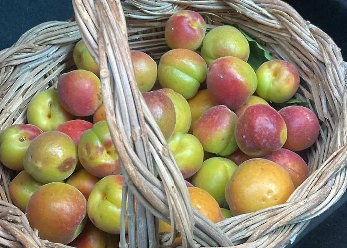 Al Presti, Vacanze In Pieno Relax Cefalu