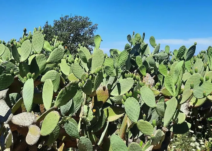 Al Presti, Vacanze In Pieno Relax Villa Cefalù